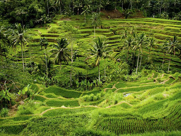 Indonesia biking vacation, Bali and Java