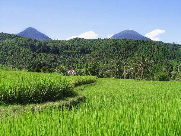 Indonesia biking vacation, Bali and Java
