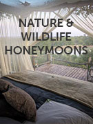 Nature & wildlife honeymoons vacations