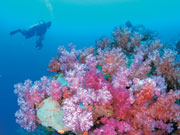 Ningaloo Marine Park in Western Australia. Photo by Tourism Western Australia