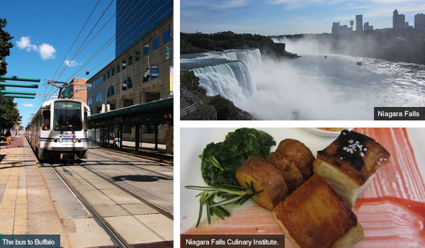 Bus to Buffalo, Niagara Falls and a dish from the Niagara Falls culinary Institute, New York State. Photos by Catherine Mack
