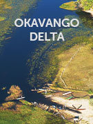 Okavango Delta vacations Okavango Delta vacations