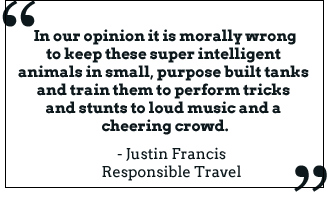 It is morally wrong to train them to perform tricks