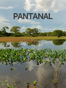 Pantanal vacations Pantanal vacations