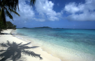 Paradise