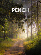 Pench National Park vacations Pench National Park vacations