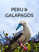 Galapagos and Peru vacations Galapagos and Peru vacations