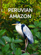 Peruvian Amazon vacations Peruvian Amazon vacations