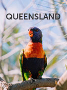 Queensland vacations