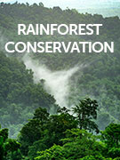 Rainforest conservation vacations Rainforest conservation vacations