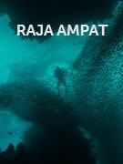 Raja Ampat vacations