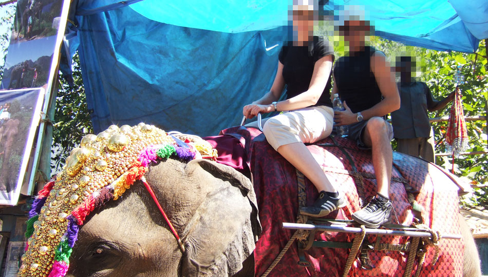 Elephant riding