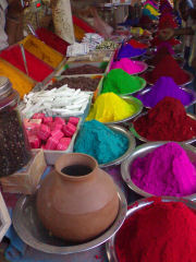 History, culture & wildlife of India