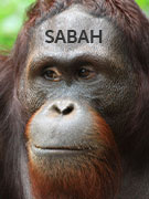 Sabah vacations