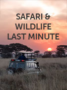 Safari & wildlife last minute vacations