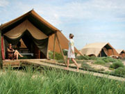 Tent accommodation at Sal Salis in Western Australia