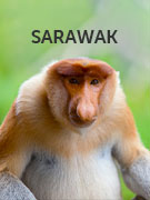 Sarawak vacations