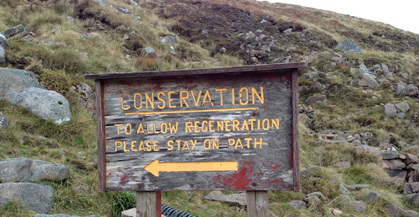 Conservation