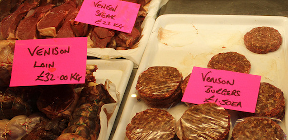 Venison