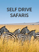 Self drive safari vacations Self drive safari vacations