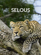 Nyerere National Park vacations