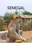 Senegal vacations Senegal vacations