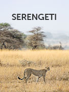 Serengeti National Park vacations