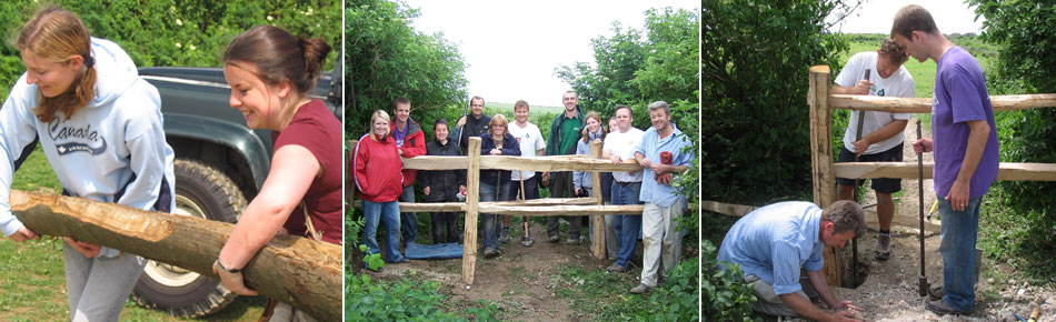 Sheepcote volunteer day