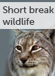 Short break wildlife