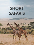 Short safaris vacations Short safaris vacations