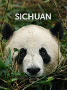 Sichuan vacations Sichuan vacations