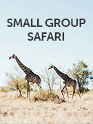 Small group safari vacations