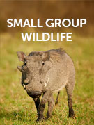 Small group wildlife & nature vacations