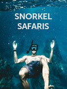 Snorkel safaris guide