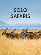 Solo safaris vacations Solo safaris vacations