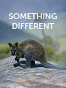 Something different vacations Something different vacations