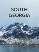 South Georgia vacations South Georgia vacations