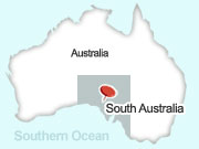 South Australia location map. Illustration by Lisa Joanes