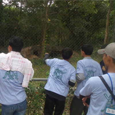 Youths looking into enclosure
