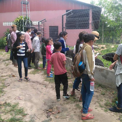 Children visiting the bears
