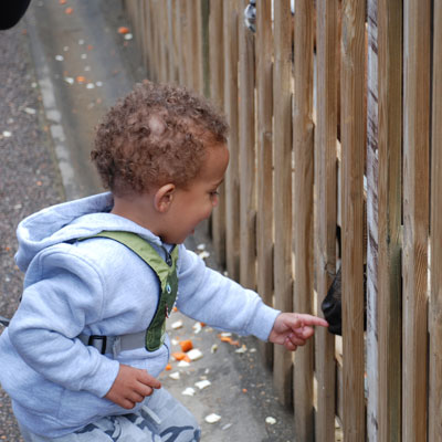 Child meeting a goat