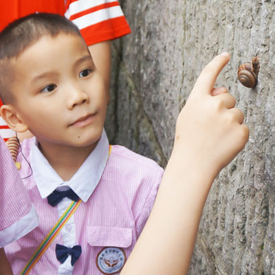 Saying hello to a snail