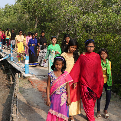 Walking on a bridge through mangroves