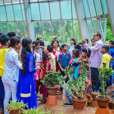 Talking in greenhouse