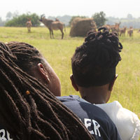 Child watching impala with support staff