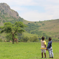 Child watching impala with support staff