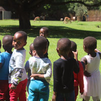 Children watching grazing animals