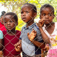 Children looking through the fence at animals