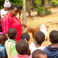 Children listening to their tour guide