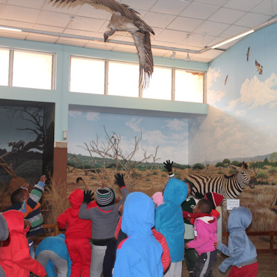 Reaching up towards a stuffed bird